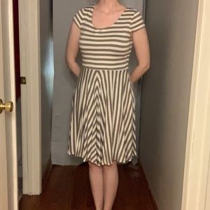 Anne Taylor Loft White and Brown Knee Length Dress